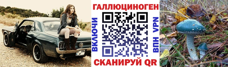 MEGA рабочий сайт  Сланцы  Галлюциногенные грибы мицелий  закладка 