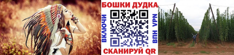 наркота  Сланцы  Конопля сатива 
